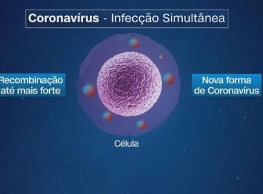 Contágio por dois tipos de coronavírus pode criar um terceiro, dizem pesquisadores
